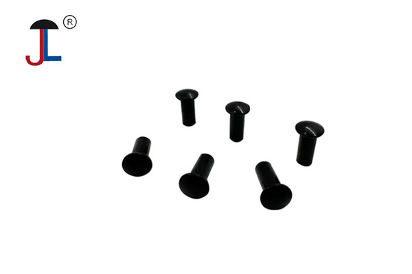 Black Stainless Steel Rivets