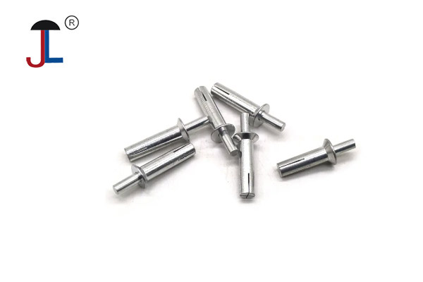 Stainless Steel Drive Rivets