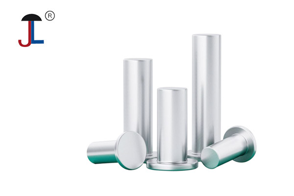 316 Stainless Steel Flat Head Solid Rivets
