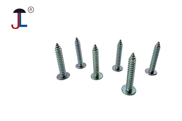 Stainless Steel Screws Stainless Steel Screws