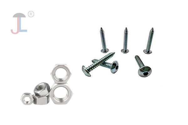 Stainless Steel Screws and Nuts
