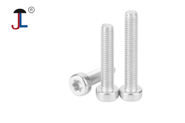 Stainless Steel Hex Socket Head Cap Screw