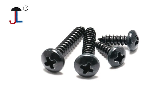 Stainless Steel Black Screws