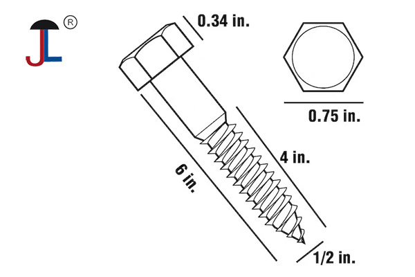 Stainless Steel Lag Screws